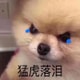 亚米UGC圖片