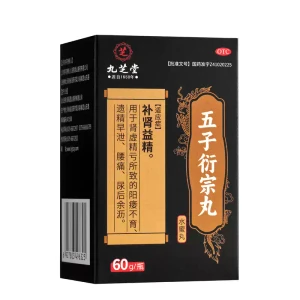 【中国直邮】 九芝堂 五子衍宗丸 水蜜丸 60g / 瓶 补肾益精 肾虚精亏 阳痿不育遗精早泄 腰痛尿后余沥 源自 1650 年【补肾益精丸】
