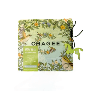 霸王茶姬 醒時春山 龍井綠茶原葉袋泡茶 8包入 24g 新品隨行裝【茶香鮮爽 豆香馥鬱】