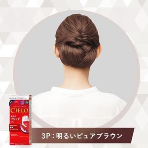 Plant Covering White Hair Press Type Hair Color Cream 3P