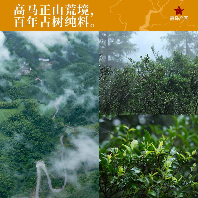 小师姐评茶 【美国现货秒发】高马二溪千两茶饼 皇家贡茶产区 高马苍卷 2019年安化黑茶茶叶 紧压工艺 汤感油润细腻 滋味甘醇 助消化 促代谢 降脂护胃 增强免疫 矿物质丰富 680g 4