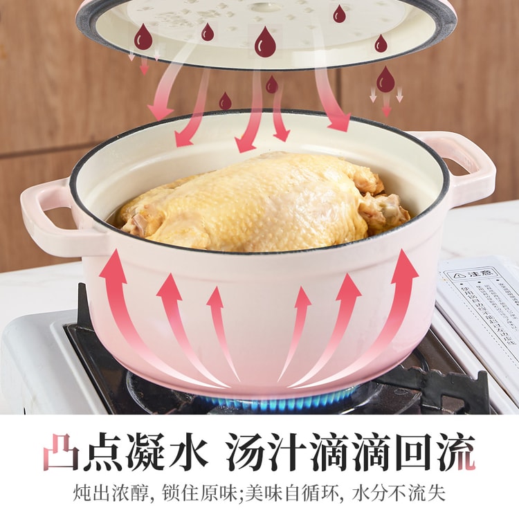 WANGYUANJI 王元姫【美の象徴、煮込み料理の達人】桜ピンク鋳鉄製