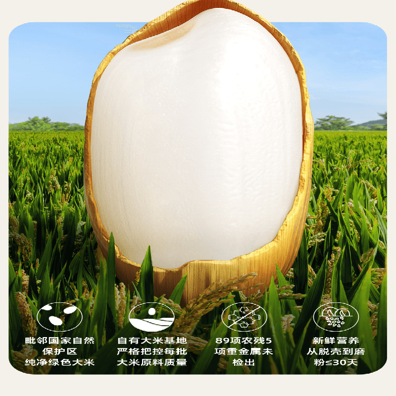 【中国直邮】 英氏 婴儿高铁米粉 试用装英式米粉试吃30g/盒