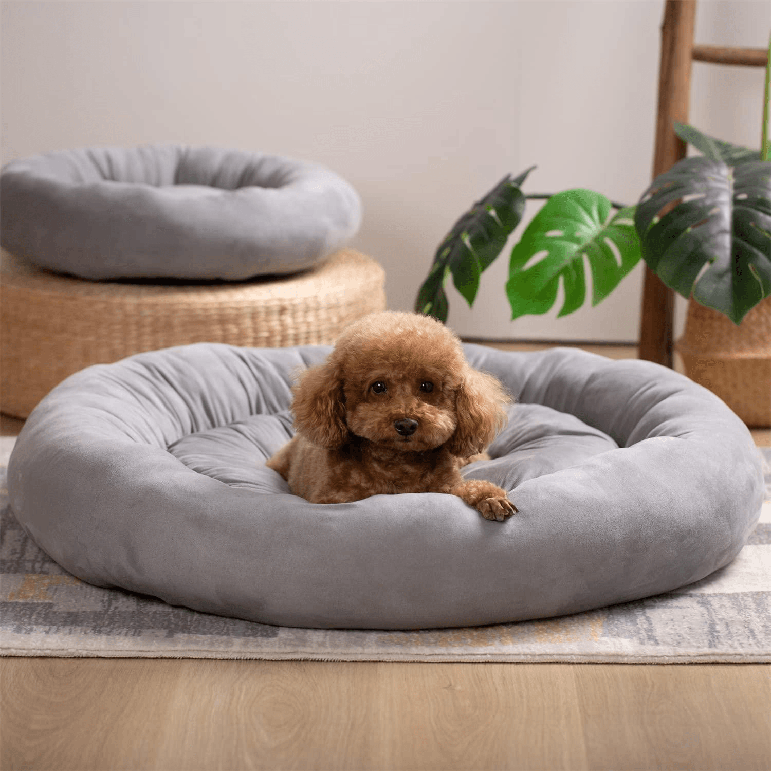 アメリカ Kexinda ドーナツデザイン丸型犬用ベッド、滑り止め、洗濯機