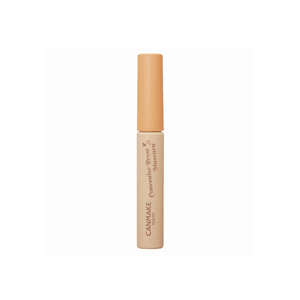Eyebrow Concealer 4g 【02】