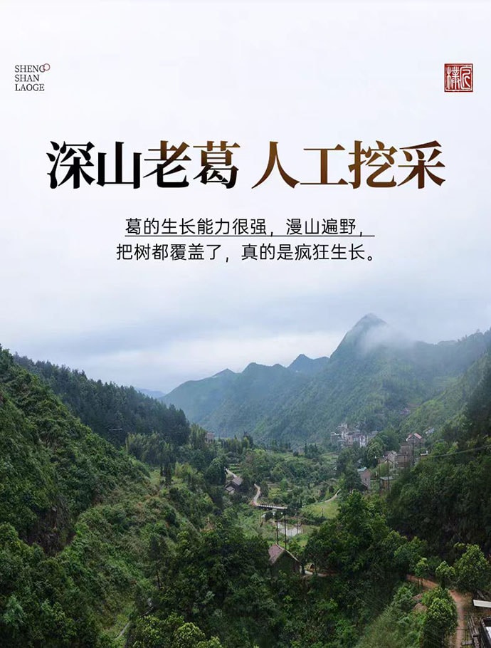 【中國直郵】 璞匠 葛根粉 深山老葛粉 健康代餐 江西特產 320g*1瓶