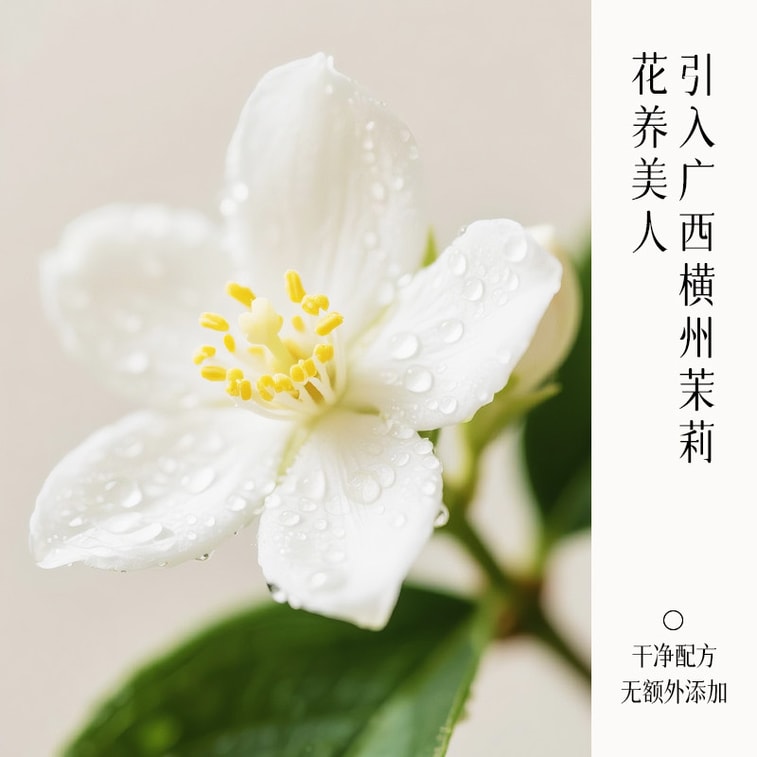 【중국 직배송】 후상아이 샹칭가오 샹칭가오 체험팩 (5개입) 3