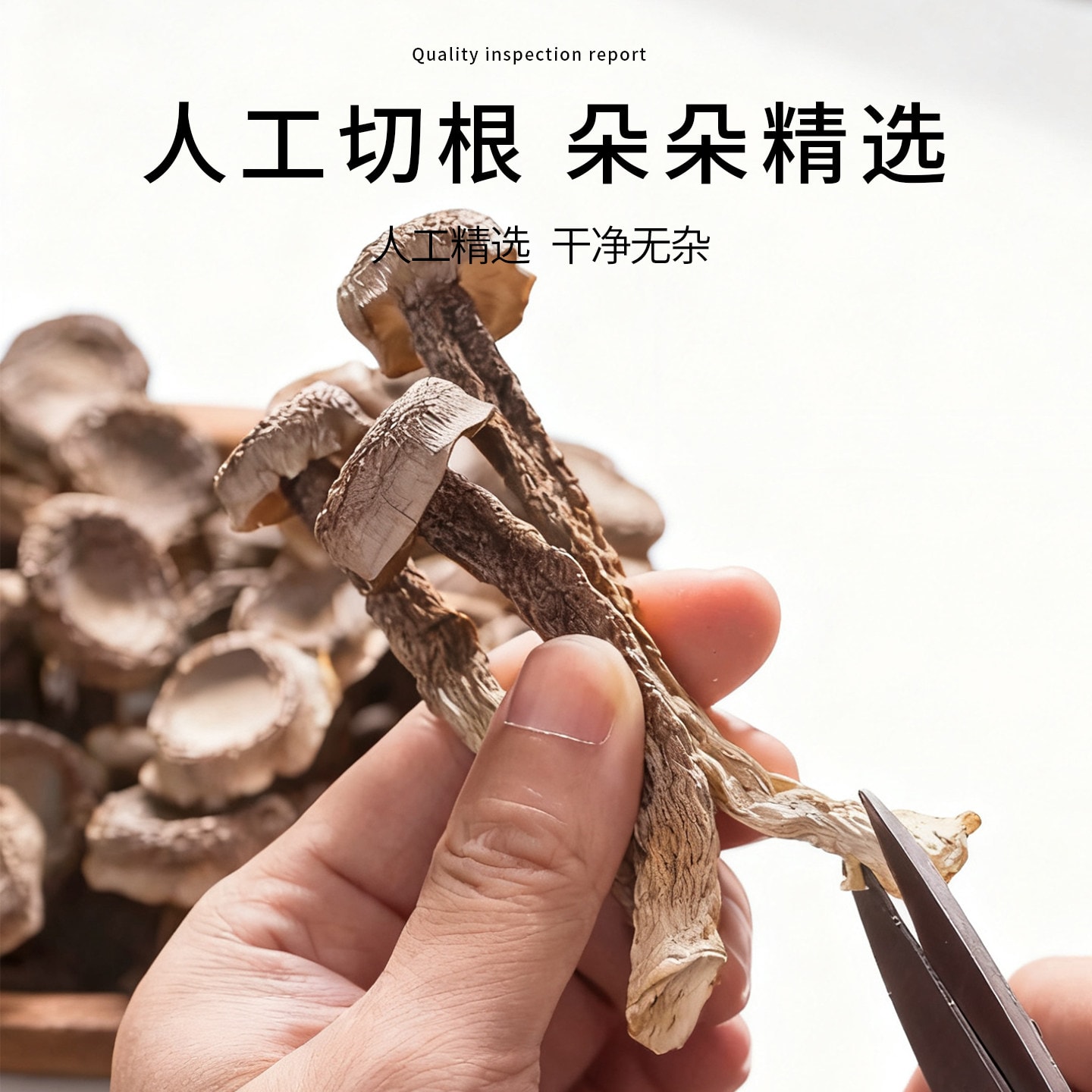 中国直送】極鮮キノコ 鹿茸キノコ 乾燥ホール 250g*1 - Yami