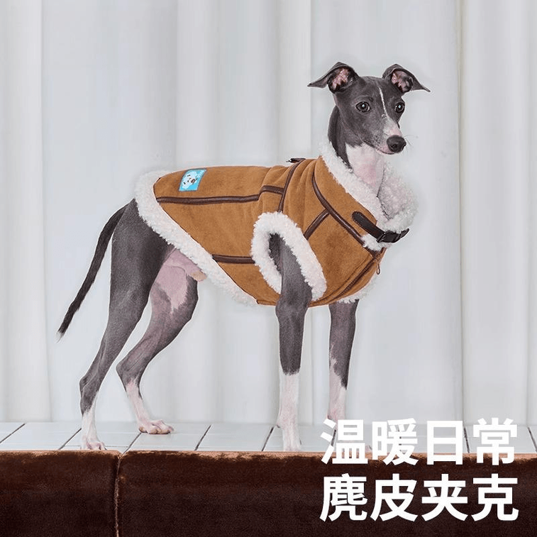 【中国直邮】 ZEZE 皮质宠物夹克M【适用于8-12斤】*1件 3