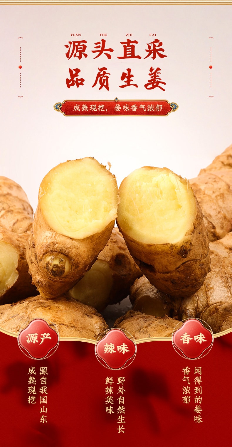 南京同仁堂 红糖姜茶 养血 驱寒 去湿气 经期不适 暖胃暖宫 手脚冰凉防风寒 10g×12条 120g