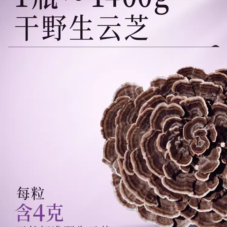 【中国直送】Vita Green Yinghuo Yunzhi カプセル 360カプセル/箱 本物の高級霊芝粉末 ワイルド霊芝 本物のYunzhi 3