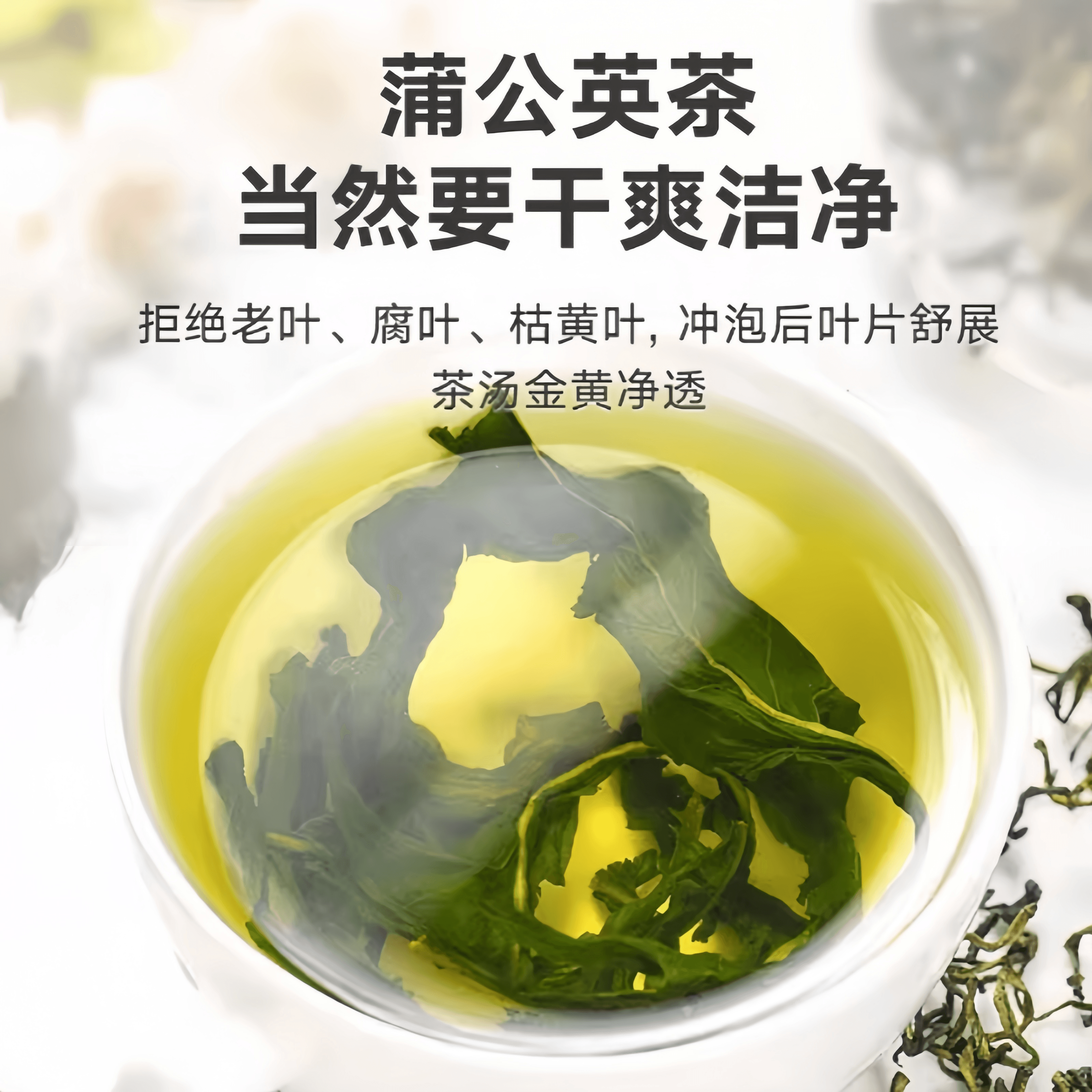 【中国直邮】 颂潮 蒲公英茶叶泡水泡茶喝的搭金银花100g*1罐