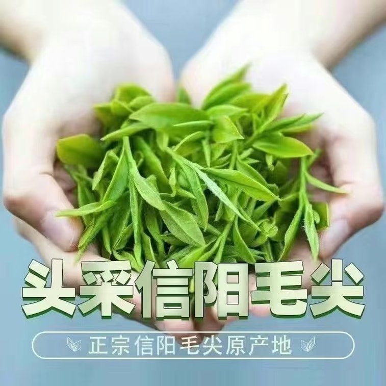 【中國直郵】 健康其他 新茶綠茶毛尖信陽茶葉2026雨前高檔禮盒裝春茶嫩葉濃香型250g*1 罐 3