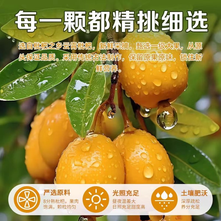 【中国直送】高阿坡甘草竹塩干しビワ砂糖漬け果実100g×1袋 3