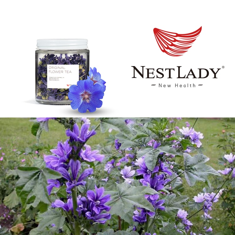 NestLady Blue Mallow Flowers Malva sylvestris 5g - 100% Nature Dried leaf Dried flower Herbal tea - Grown and harvested in Germany