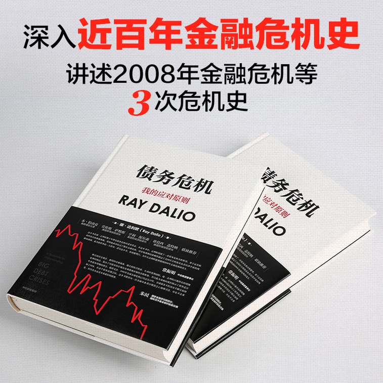 【中国直邮】I READING爱阅读 债务危机 3