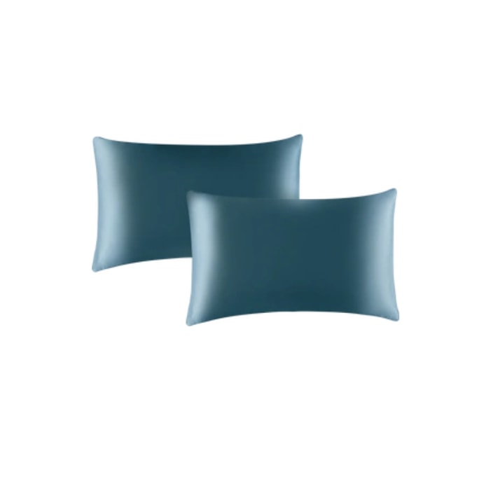 【中国直送】LifeEase NetEase 厳選シルク枕カバー シルクテンセル風 スターブルー *2枚組