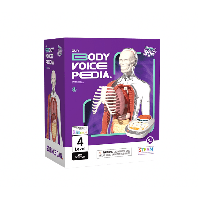 【中國直郵】Science can科學罐頭 人體解剖模型器官可拆式兒童教學玩具我們的身體語音百科