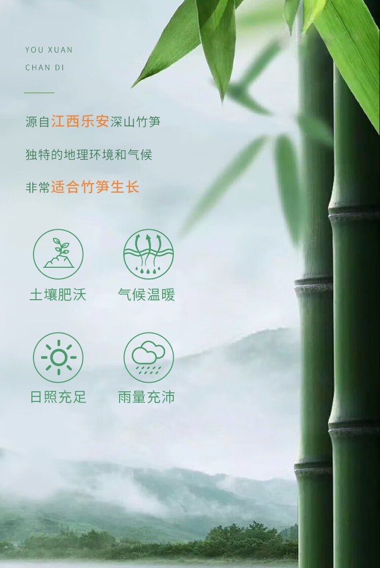 【中国直邮】 鲜窝窝 有机冬笋300g 脆嫩冬笋火锅食材 新鲜野笋罗汉笋嫩笋尖 有机蔬菜