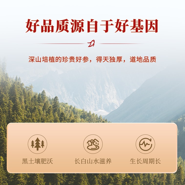 采芝林 精品红参5年老龄人参礼盒 补气养血温补气血 送女友礼佳品 体虚欲脱 四肢寒冷 进补佳品 送礼送长辈 3