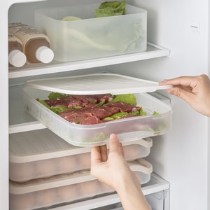 纳川 冰箱保鲜食物收纳盒 法拉杏/件 单层带盖 密封速冻饺子盒