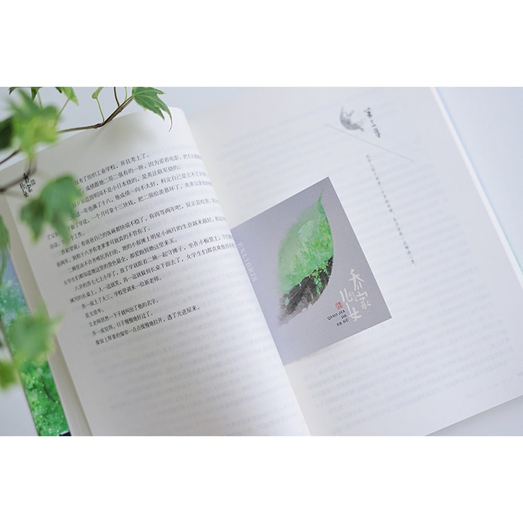 乔家的儿女(白宇、毛晓彤、宋祖儿等领衔主演电视剧原著小说) 3