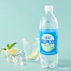 延中 盐汽水 咸青桔风味 600ml【清爽消暑 补充盐分】【爱情公寓经典语录】