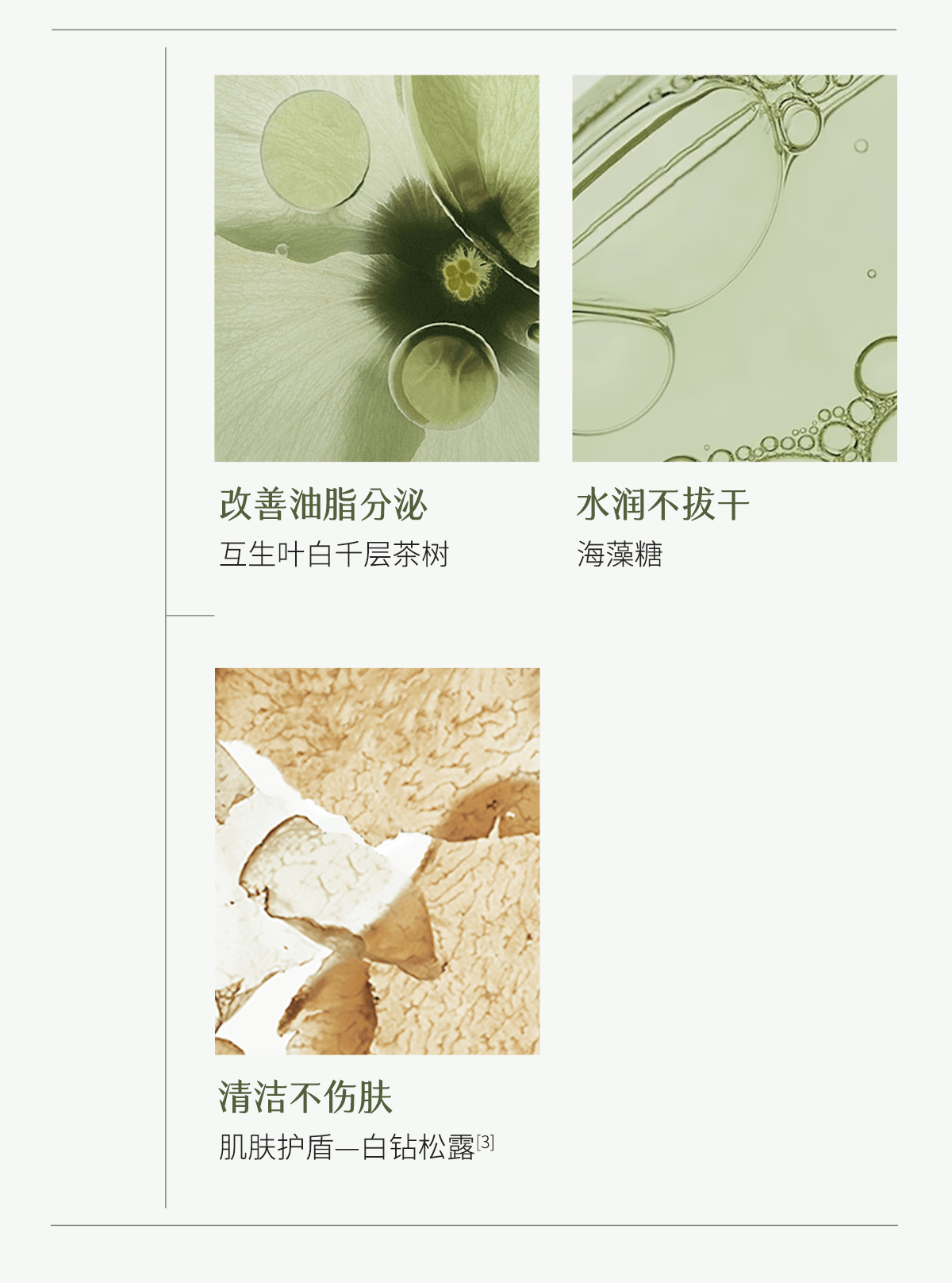 谷雨 【淘宝控油面膜TOP3】白千松露泥膜【一次一抛】【黑头吸尘器】【蓬松不拔干】【3重养护】深层清洁毛孔 涂抹面膜 蓬松空气感 控油减少黑头 细腻肌肤 6g*20