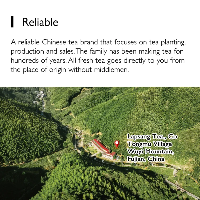  正山堂 特製金駿眉紅茶 甄選桐木關保護區珍稀嫩芽頭 送長輩或親友高端茶葉 經典罐裝50g 11