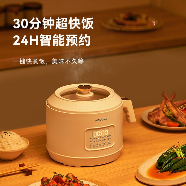 1.0L Mini Rice Cooker