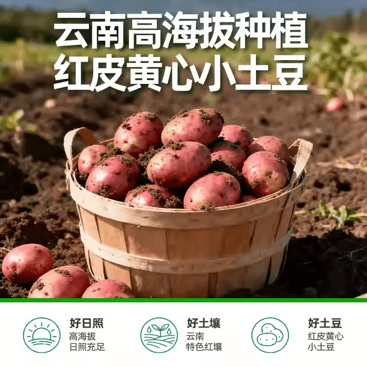 Dian Er Wa Black Pepper Yellow-Fleshed Small Potatoes, Ready-to-Eat, Soft and Glutinous, Low-Fat, Satisfying Snack, Fitness Meal Replacement, Leisure Snack, 250g 4