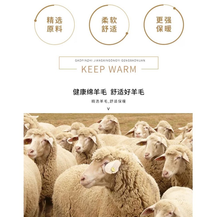 【中國直郵】 HSPM 簡約時尚揚子紗半高領羊毛衫18針無縫打底衫 黑色 M 5