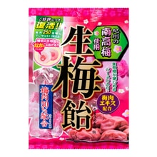 ミ*オ様 REDMAN CANDY 6個セット Ribon Fresh Japanese Plum (Nama Ume) Candy, 3.2oz – La