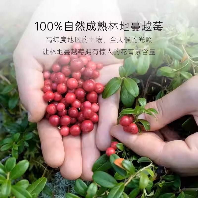 Fraction Cranberry Dried Cranberries from Woodland, No Additives 100g*1 Bag