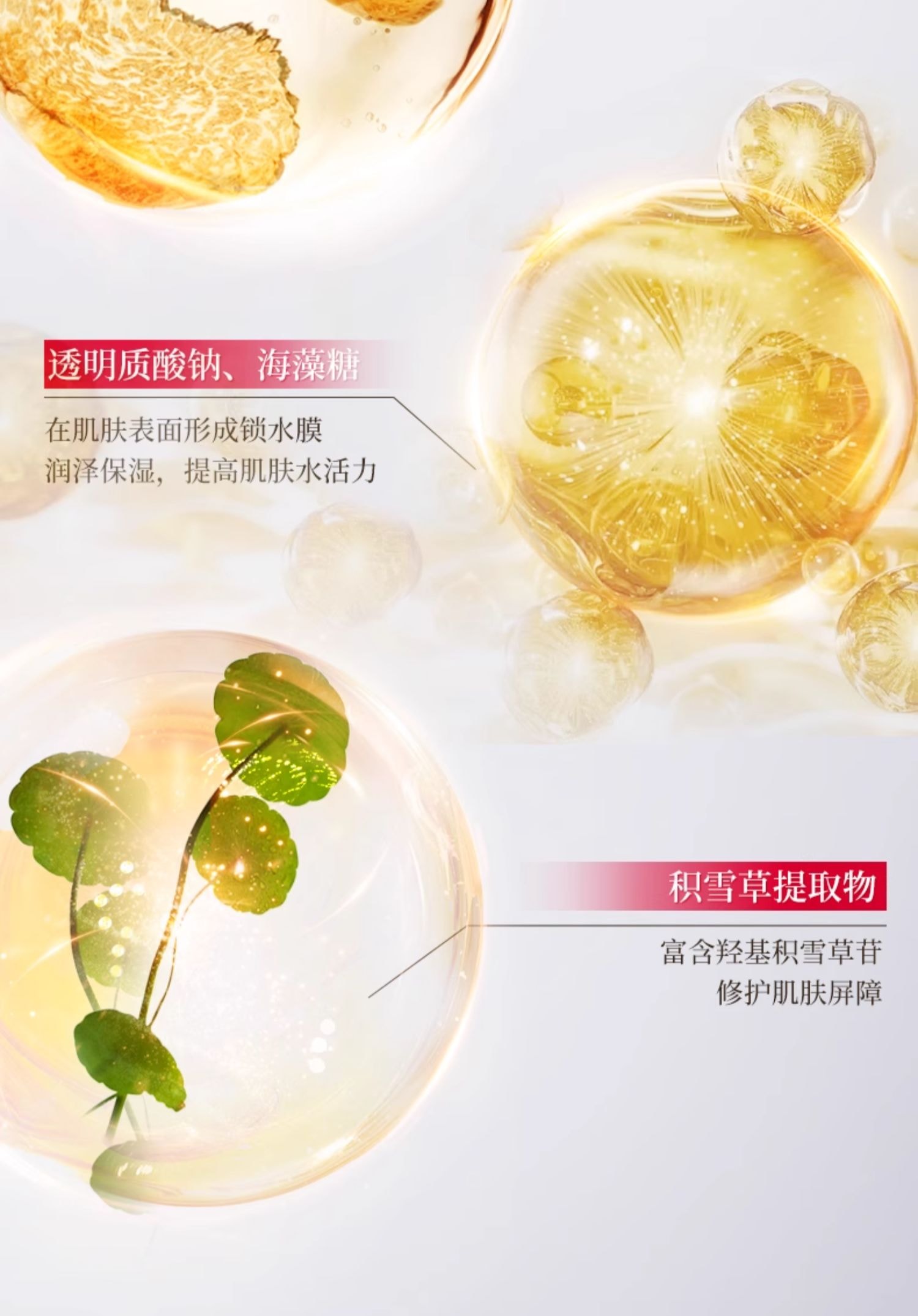 Red Camellia Revitalizing Essence Water 200ml/ Bottle