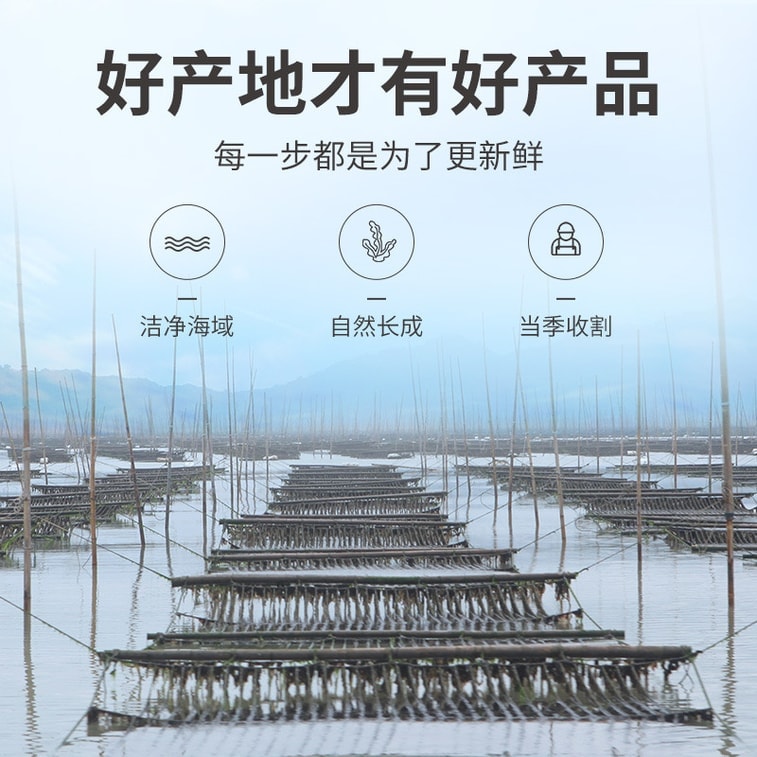 【中国直邮】 方家铺子 正宗水产紫菜圆饼 50g 袋装煮汤与虾皮枸杞搭配更加