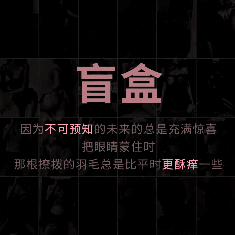 美国 PinklemonLA 精品情趣内衣盲盒 | 品质优先 | 精选爆款 | 超值惊喜 - 精挑3件装