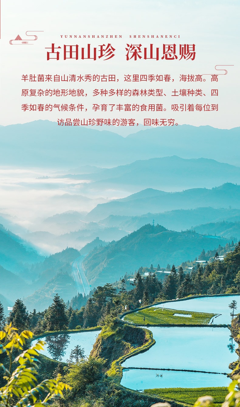 菌妍 羊肚菌 可炒可蒸可炖汤 舌尖美味干货食材50g