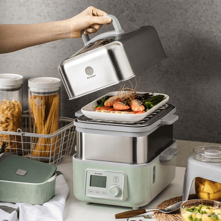 BUYDEEM G563 All-in-One Intelligent Electric Food store Steamer