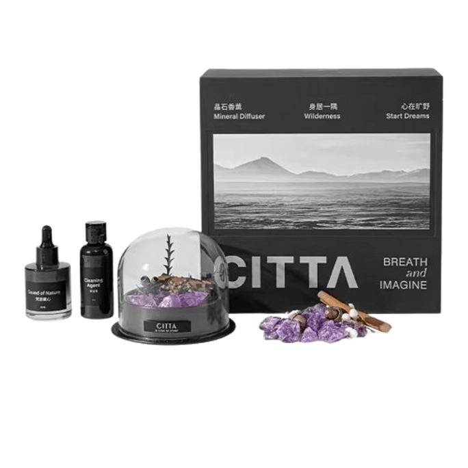 [중국에서 직접 메일] CITTA Wilderness 시크릿 아로마테라피 선물 상자 확장 스톤 홈 향수 장식품 친구 및 절친 생일 선물 한정판 공동 브랜드 - Mountain Sandalwood