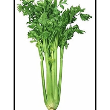 yami