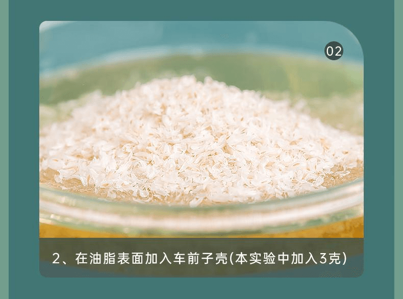 【中国直邮】 享滋 车前原壳粉膳食纤维粉饱腹感代餐洋前车子原壳100g*1桶