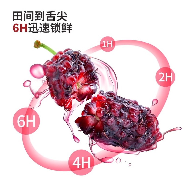 Mulberry Juice Juice Pure Fruit And Vegetable Juice Raw Pressed