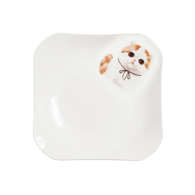 Petorama陶瓷寵物肖像印花方形餐盤-加菲貓