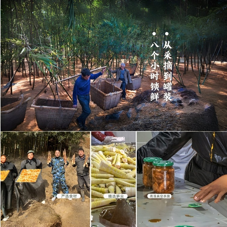 Farmhouse-style Spring Bamboo Shoots Braised in Soy Sauce on a Clay Stove a Dish to Go with Rice380g * 1 Jar 5