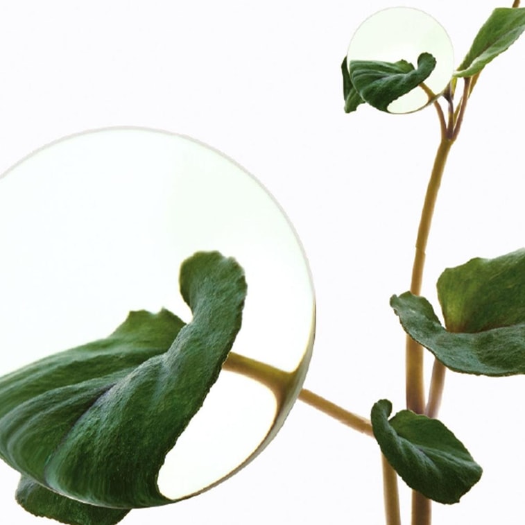 Heartleaf 77 + Hyaluron Soothing Toner Vegan, 8.45 fl oz 4