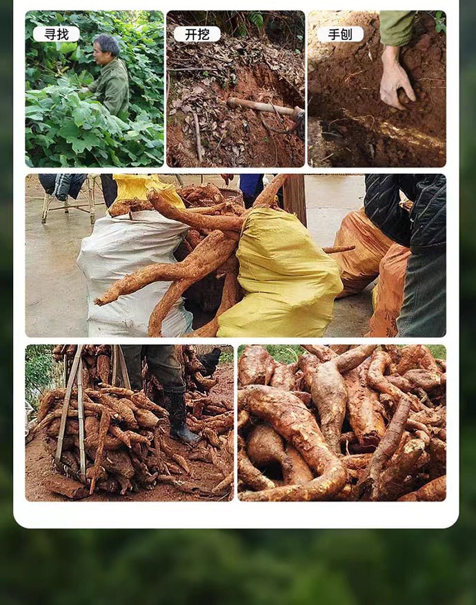 【中國直郵】 璞匠 葛根粉 深山老葛粉 健康代餐 江西特產 320g*1瓶