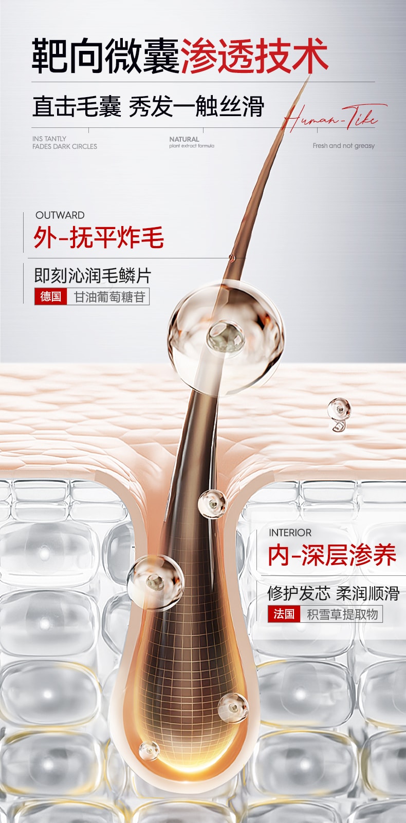 【中国直邮】 新加坡 Kuvive 毛囊净澈洗发水 二硫化硒洗发水毛囊除炎螨去屑止痒控油蓬松洗头膏露男女正品 500ml/瓶