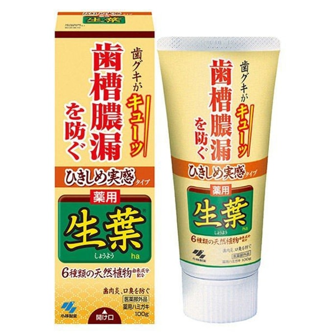 【日本直郵】日本KOBAYASHI 小林製藥 生葉天然植物牙膏 有效防止牙周炎 清新口氣 黃色裝 100g