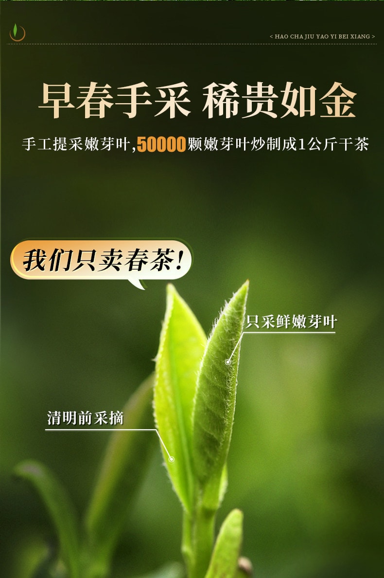 【中国直邮】 一杯香 2026新茶龙井茶明前绿茶茶叶春茶自己喝 口感鲜爽 明前龙井 125g